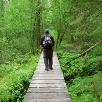 Alaska Rivers Company Easy Day Hiking Excursions